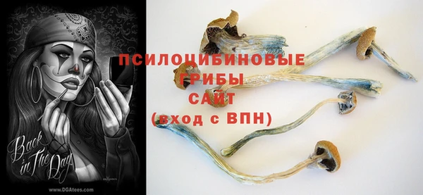 мяу мяу кристалл Тайга